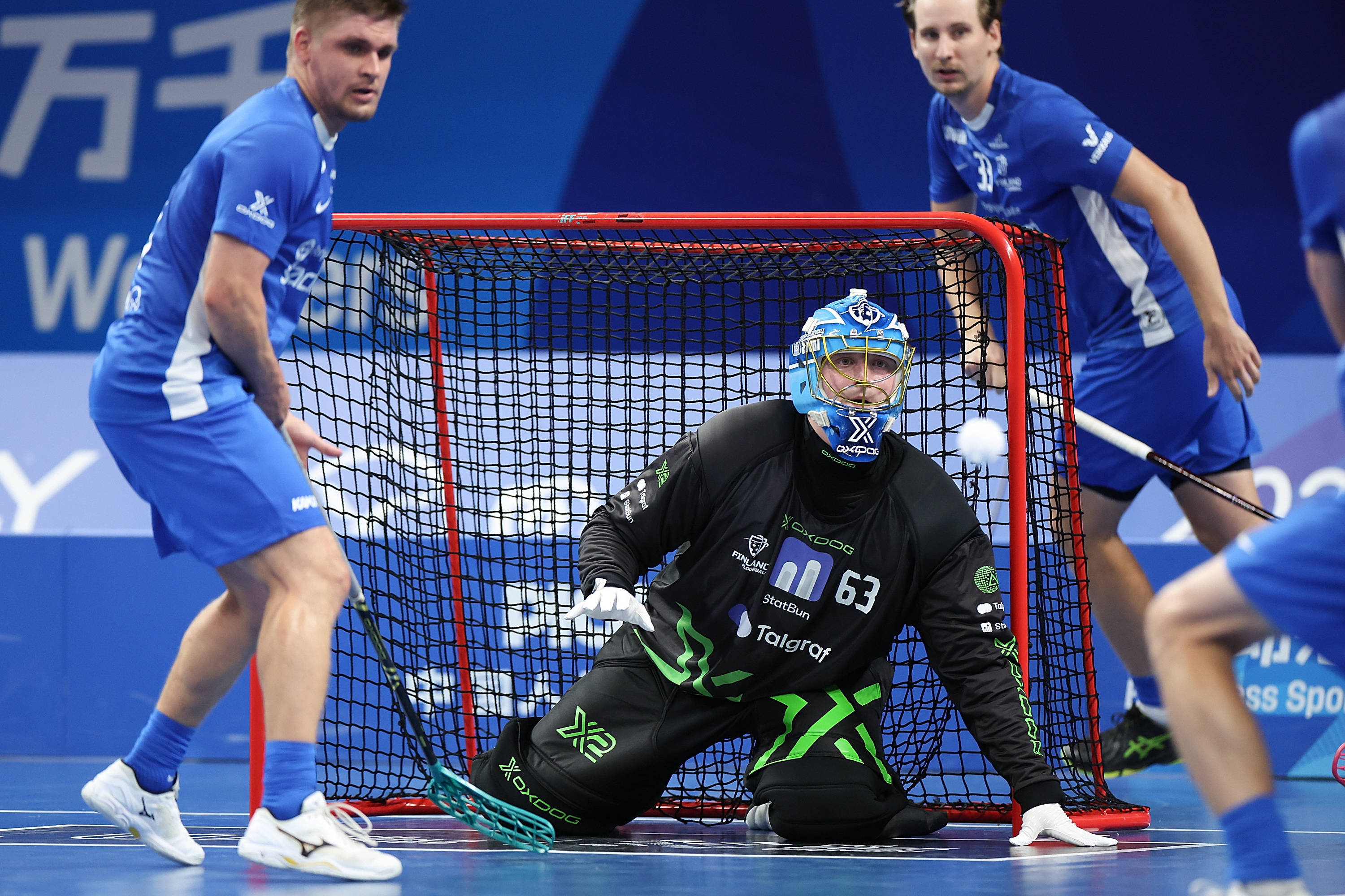 捷克队在比赛中遭遇失利