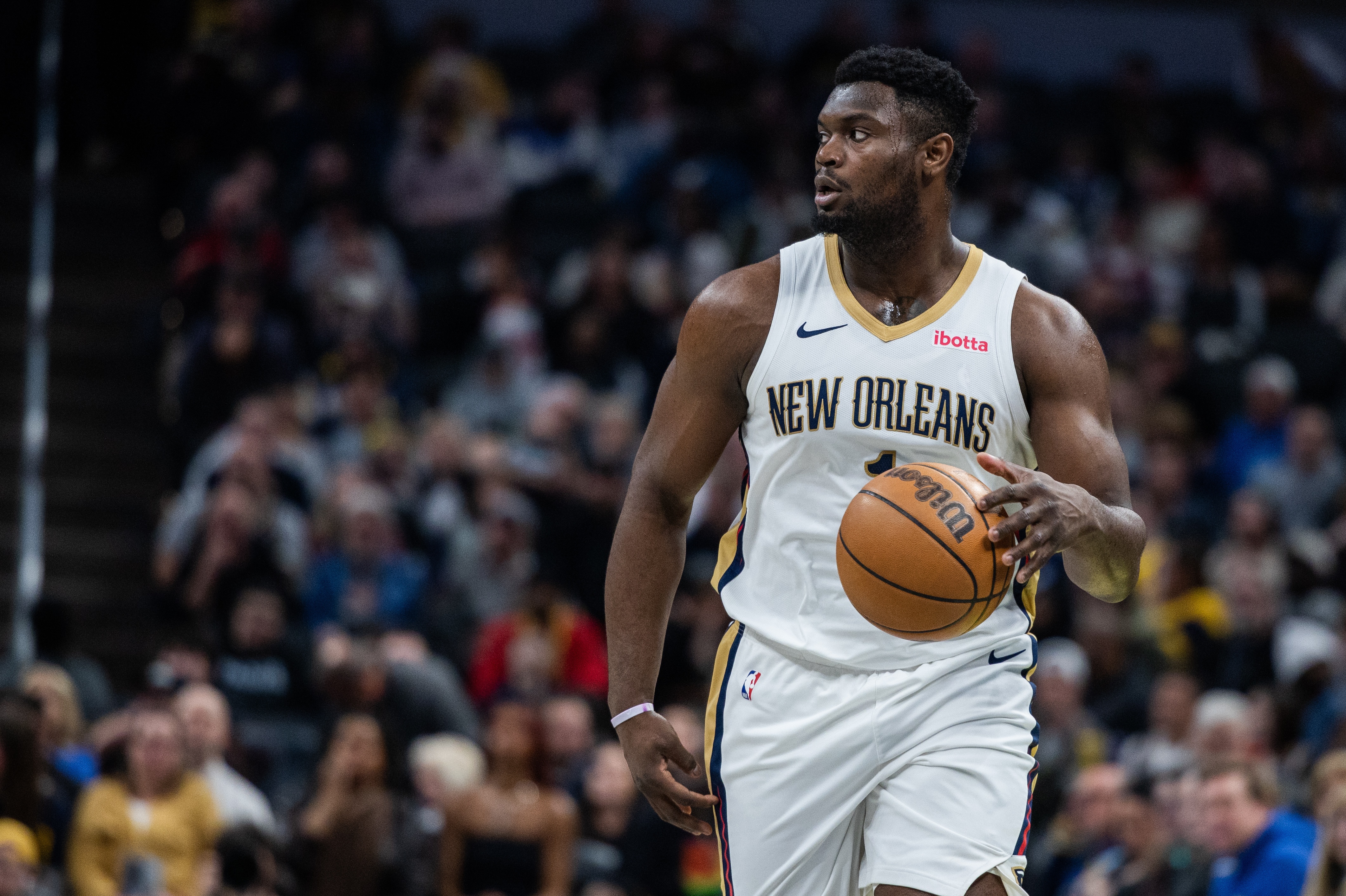 关于鹈鹕横扫澳大利亚男篮,福克斯统治全场的信息 关于鹈鹕横扫澳大利亚男篮,福克斯统治全场的信息