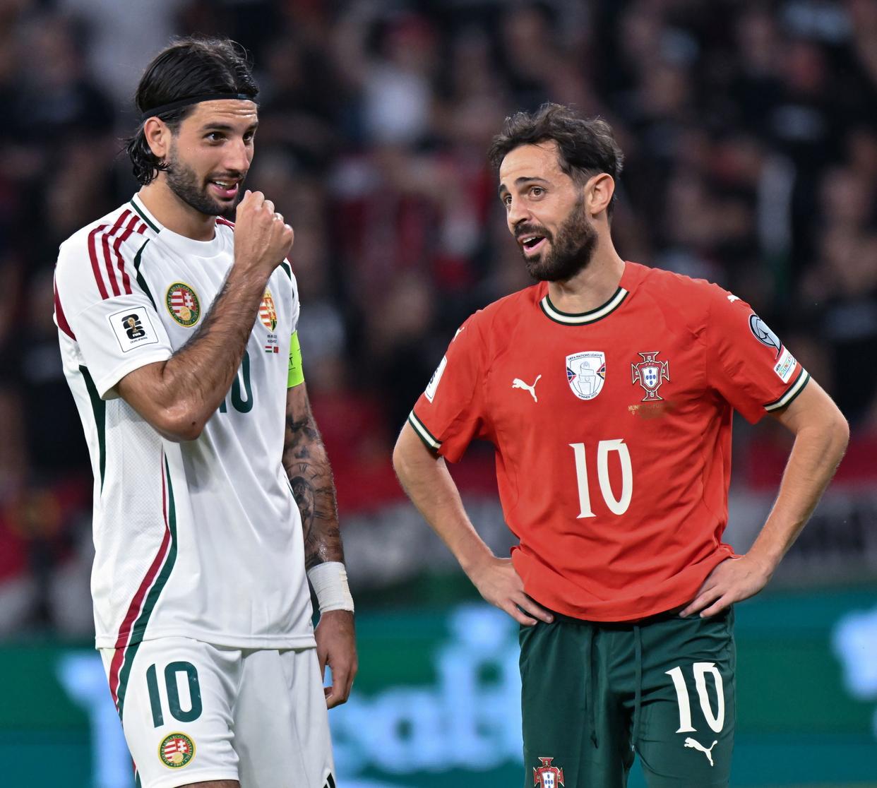 包含匈牙利队主场憾负波斯尼亚，小组前景黯淡的词条