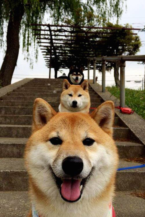 年度焦点之战，委内瑞拉力克土耳其，逆袭背后的战术密码