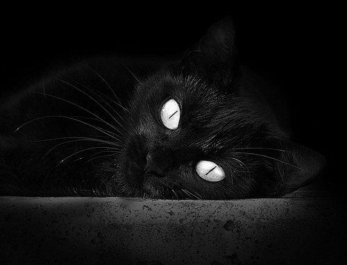 萨内一剑封喉,西班牙横扫哥伦比亚展现战术唯一性