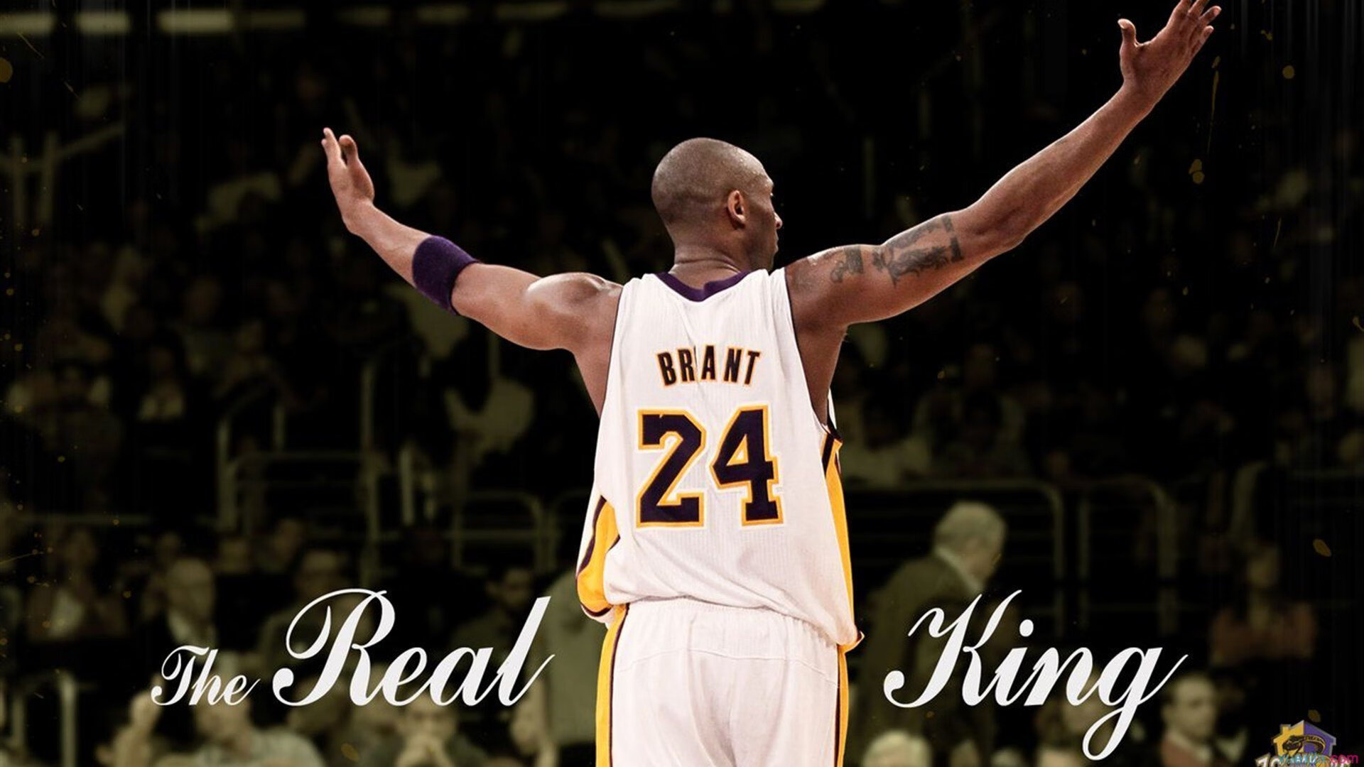 舞台越大越强，哈利伯顿在北京队对阵浙江队的夜晚证明巨星本色