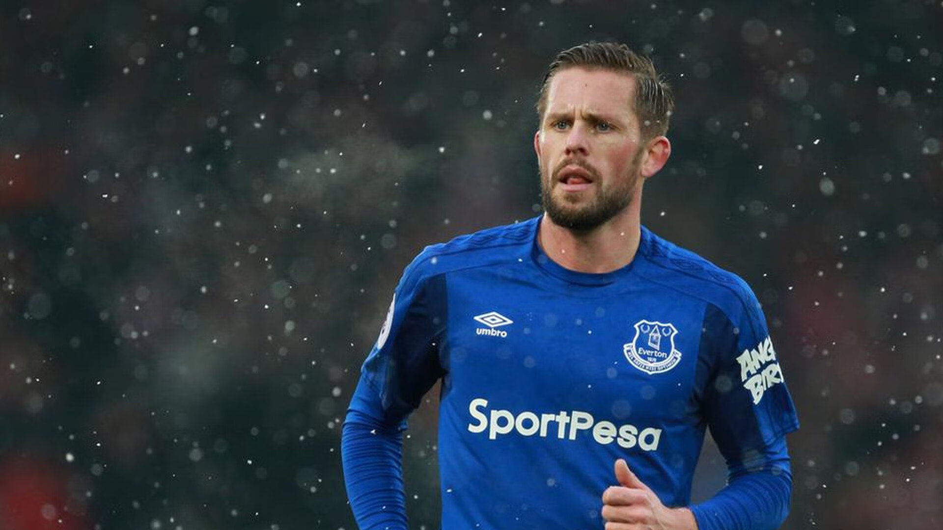 当塞纳河遇见两河，弗拉霍维奇在巴黎的个人战争